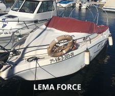 LEMA FORCE-1