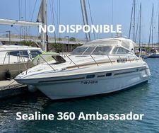 sealine-360-ambassador-2